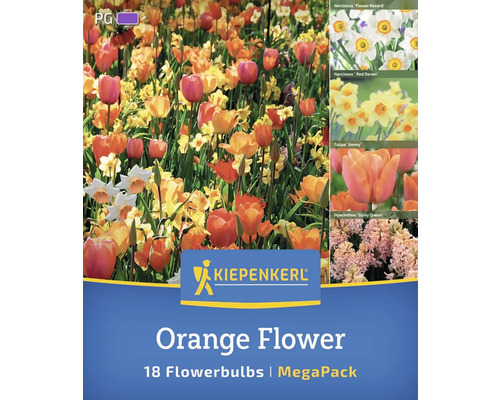Kiepenkerl Orange Flower Blumenzwiebeln 18er-Pack