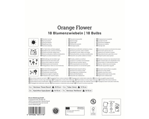 Informationen zu Orangenblumen, Blumenzwiebeln und Pflanzanweisungen
