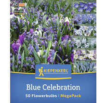 Kiepenkerl Blue Celebration Blumenzwiebeln Megapackung, enthält 50 Blumenzwiebeln, mit Herz für Nützlinge Symbol