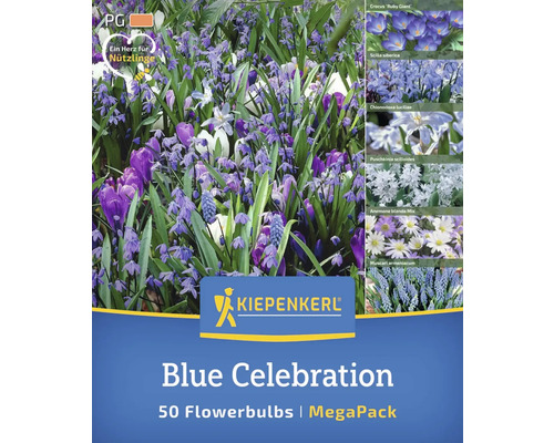 Kiepenkerl Blue Celebration Blumenzwiebeln Megapackung, enthält 50 Blumenzwiebeln, mit Herz für Nützlinge Symbol