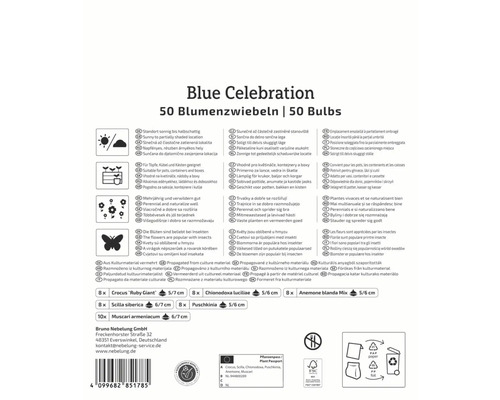 Blue Celebration Blumenzwiebeln Packung mit Informationen zu Standort, Verwendung, Eigenschaften und Herkunft