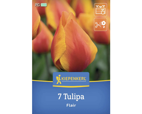 Kiepenkerl Logo, 7 Tulipa Flair