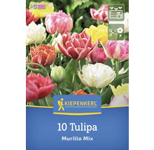 Kiepenkerl Logo 10 Tulpen Murillo Mix