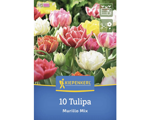 Kiepenkerl Logo 10 Tulpen Murillo Mix