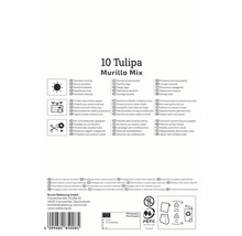 Informationen zu Tulpen Murillo Mix, inklusive Standort, Eignung für Töpfe und Schnittblumen sowie Herkunft aus Kulturmaterial