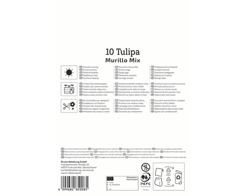 Informationen zu Tulpen Murillo Mix, inklusive Standort, Eignung für Töpfe und Schnittblumen sowie Herkunft aus Kulturmaterial