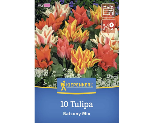 Kiepenkerl Logo, 10 Tulpen Balkonmischung
