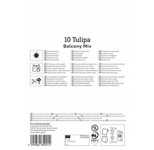 Verpackung für 10 Tulipa Balkon Mix Blumenzwiebeln mit Hinweisen zu Standort, Bepflanzung und Pflege