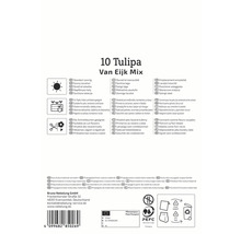 Verpackung Tulpen Van Eijk Mix, geeignet für sonnige Standorte und als Schnittblumen, Vermehrung aus Kulturmaterial