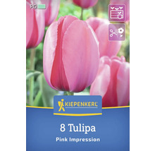 Verpackung mit acht Tulpen der Sorte Pink Impression