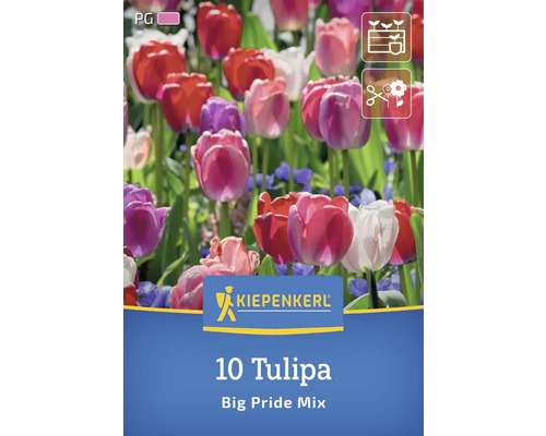 Verpackung mit 10 Tulpen Big Pride Mix