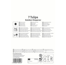 Informationen zur Tulpensorte Golden Emperor