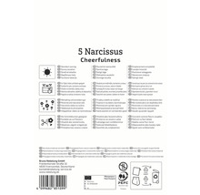 Verpackung Narzissen Cheerfulness mit Hinweisen zu Standort, Verwendung und Zertifizierung