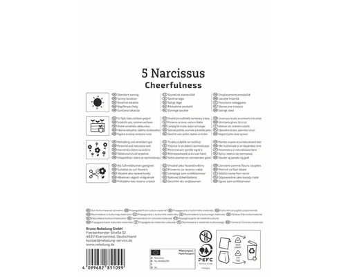 Verpackung Narzissen Cheerfulness mit Hinweisen zu Standort, Verwendung und Zertifizierung