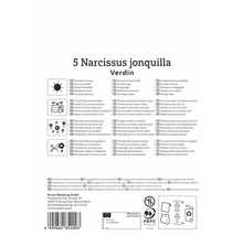 Verpackung Narzissen Jonquilla Verdin mit Symbolen und Siegeln