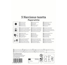 Informationen zu Narzissen Paperwhite, einschliesslich Standort, Pflege und Verwendung als Schnittblumen