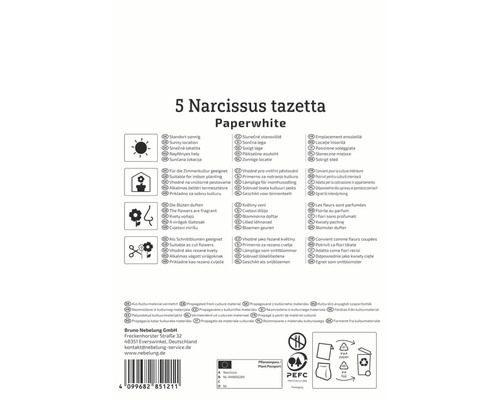 Informationen zu Narzissen Paperwhite, einschliesslich Standort, Pflege und Verwendung als Schnittblumen