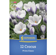 Kiepenkerl Logo, 12er Pack Krokusse Sorte Prins Claus