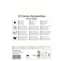 Informationen zu 12 Krokussen der Sorte Prins Claus