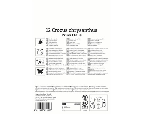 Informationen zu 12 Krokussen der Sorte Prins Claus