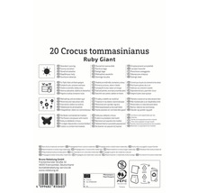 Verpackung von 20 Krokussen der Sorte Ruby Giant mit Hinweisen zu Standort, Verwendung und Insektenfreundlichkeit