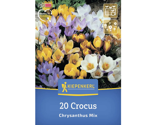 Kiepenkerl Logo, 20 Krokusse Chrysanthus Mischung