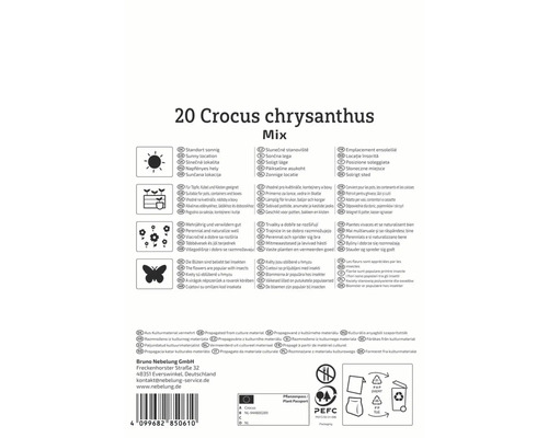 Informationen zu Krokussen chrysanthus