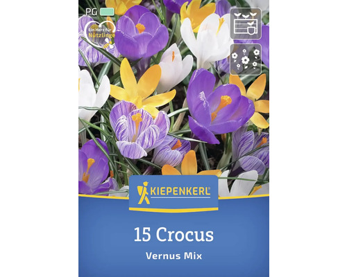 Krokus Vernus Mischung, 15 Stück