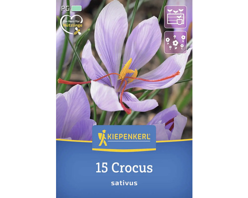 Kiepenkerl 15 Krokusse, Sativus