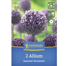 Verpackung mit zwei Zierlauch Blumenzwiebeln der Sorte Summer Drummer