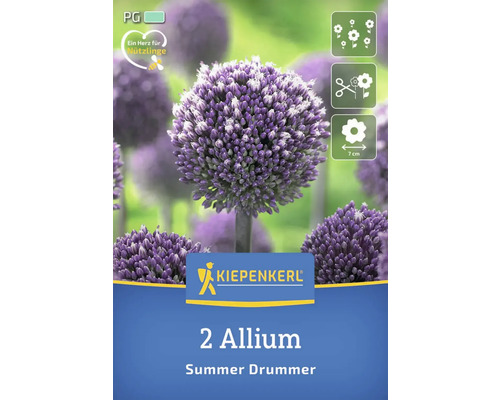 Verpackung mit zwei Zierlauch Blumenzwiebeln der Sorte Summer Drummer