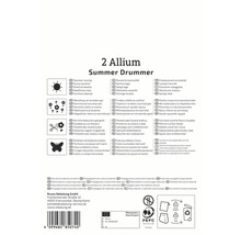 Informationen zu Allium Summer Drummer, einschließlich Standort, Blütezeit und Verwendung