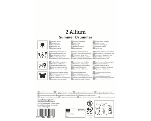 Informationen zu Allium Summer Drummer, einschließlich Standort, Blütezeit und Verwendung