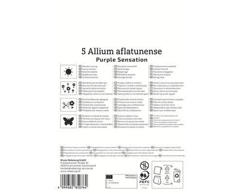 Verpackung für 5 Allium aflatunense Purple Sensation Zwiebeln mit Informationen zu Standort, Pflege und Verwendung
