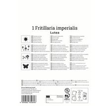 Informationen zur Fritillaria imperialis Lutea, einschließlich Standort, Eigenschaften und Verwendung