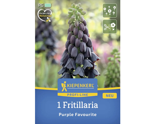 Verpackung einer Fritillaria ''Purple Favourite'' Zwiebel der Marke Kiepenkerl