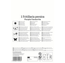 Informationen zur Fritillaria persica Purple Favourite