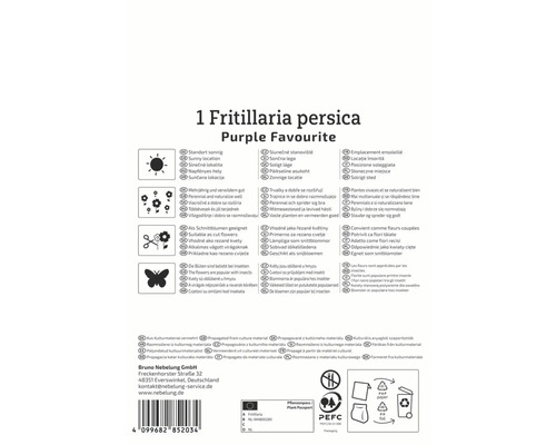 Informationen zur Fritillaria persica Purple Favourite