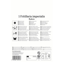 Informationen zu Fritillaria imperialis Rubra: Standort, Eigenschaften, Verwendung und Vermehrung