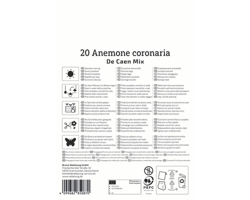 Verpackung Anemone coronaria De Caen Mix mit Informationen zu Standort, Bewässerung, Verwendung und Herkunft