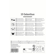 Verpackung Galanthus Woronowii mit Produktinformationen zu Standort, Pflege und Verwendung