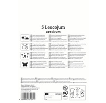 Verpackung für fünf Leucojum aestivum Blumenzwiebeln
