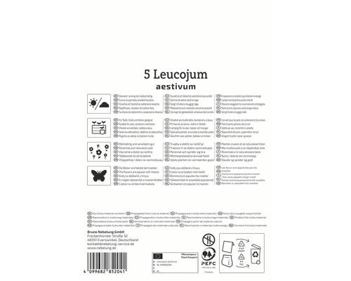 Verpackung für fünf Leucojum aestivum Blumenzwiebeln