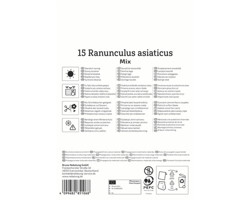 Informationen zu Ranunkel Pflege und Eigenschaften
