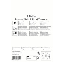 Verpackung für 8 Tulpen der Sorten Queen of Night und City of Vancouver mit Informationen zu Standort, Verwendung und Herkunft