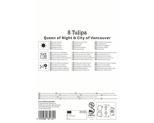 Verpackung für 8 Tulpen der Sorten Queen of Night und City of Vancouver mit Informationen zu Standort, Verwendung und Herkunft
