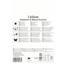 Verpackung für 2 Allium Gladiator und Mount Everest Blumenzwiebeln mit Informationen zu Standort, Pflege und Verwendung