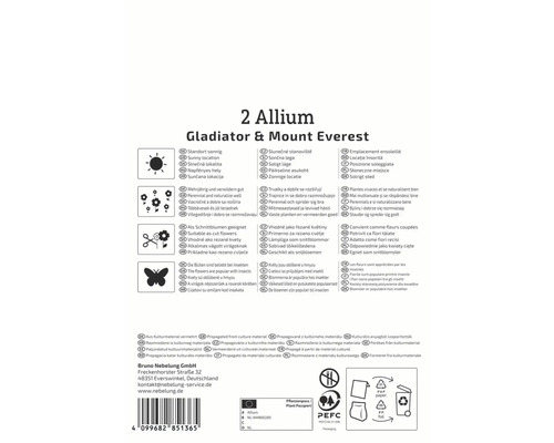 Verpackung für 2 Allium Gladiator und Mount Everest Blumenzwiebeln mit Informationen zu Standort, Pflege und Verwendung