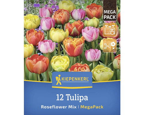 Kiepenkerl Logo, 12 Tulpen Rosenblütenmischung im Megapack
