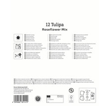 Verpackung Tulpen Roseflower Mix mit Hinweisen zu Standort, Verwendung und Logos